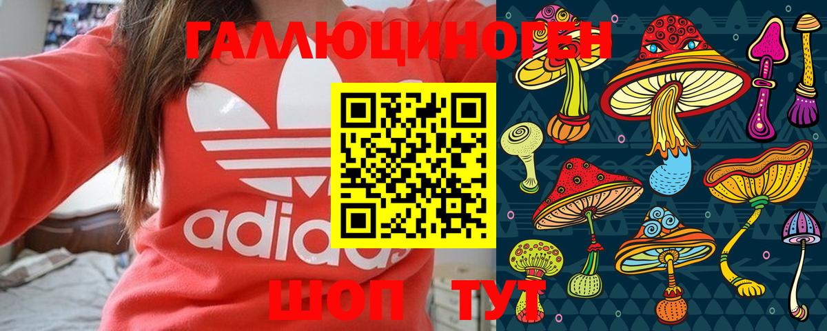 Псилоцибиновые грибы GOLDEN TEACHER Чусовой